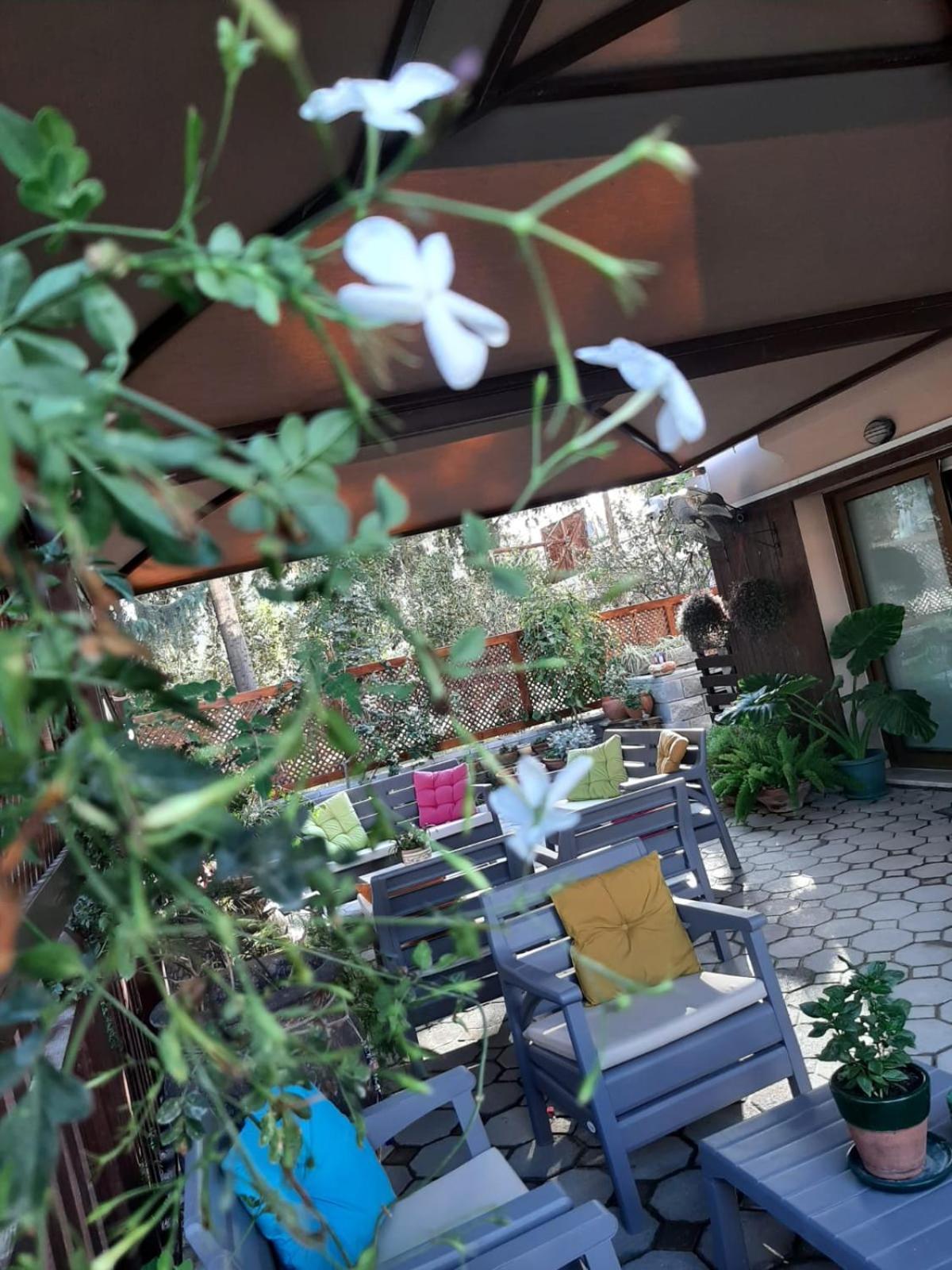 Denge Homes Nikozja Zewnętrze zdjęcie